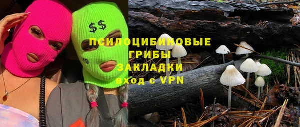 ECSTASY Богородицк