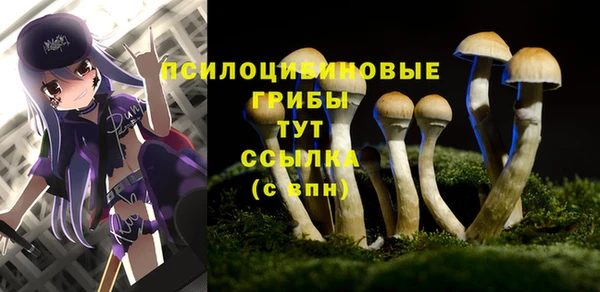 спайс Балабаново
