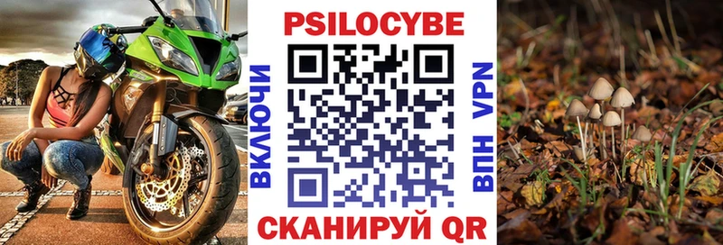 Купить где  Вытегра  Псилоцибиновые грибы прущие грибы 