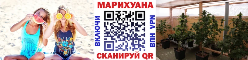Купить где  Вытегра  Канабис VHQ 